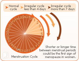 long menstrual period causes