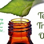 Uses-For-Tea-Tree-Oil