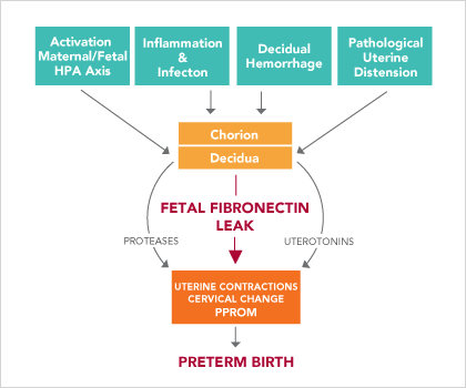 Premature Birth