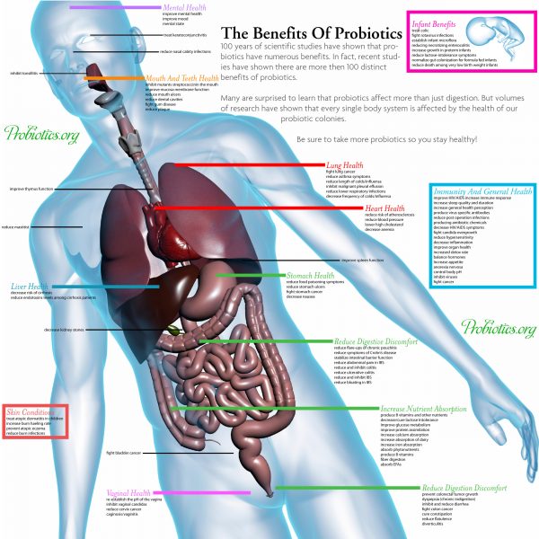 Probiotics Health Benefits