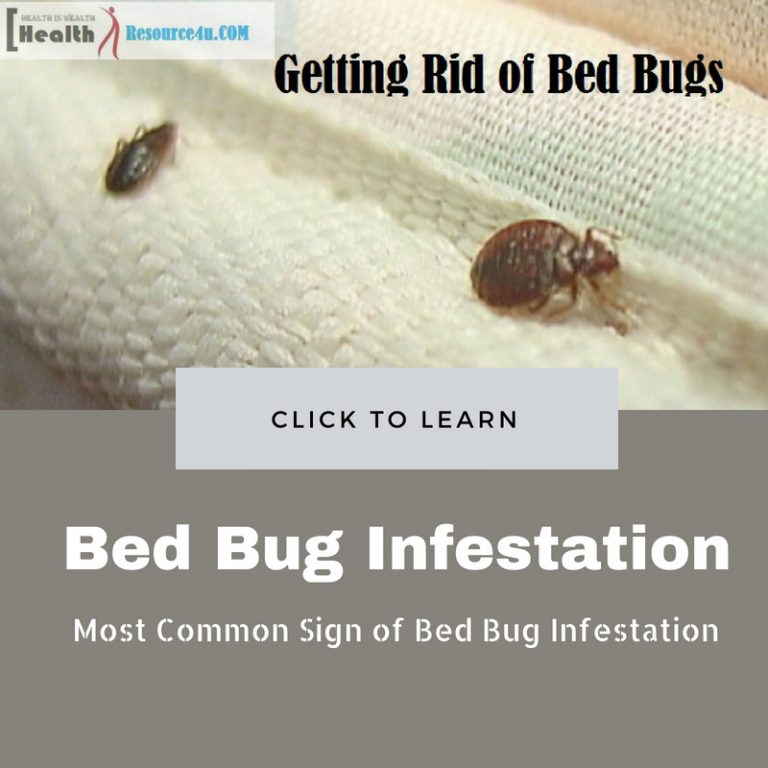 Ways to Get Rid of Bed Bugs