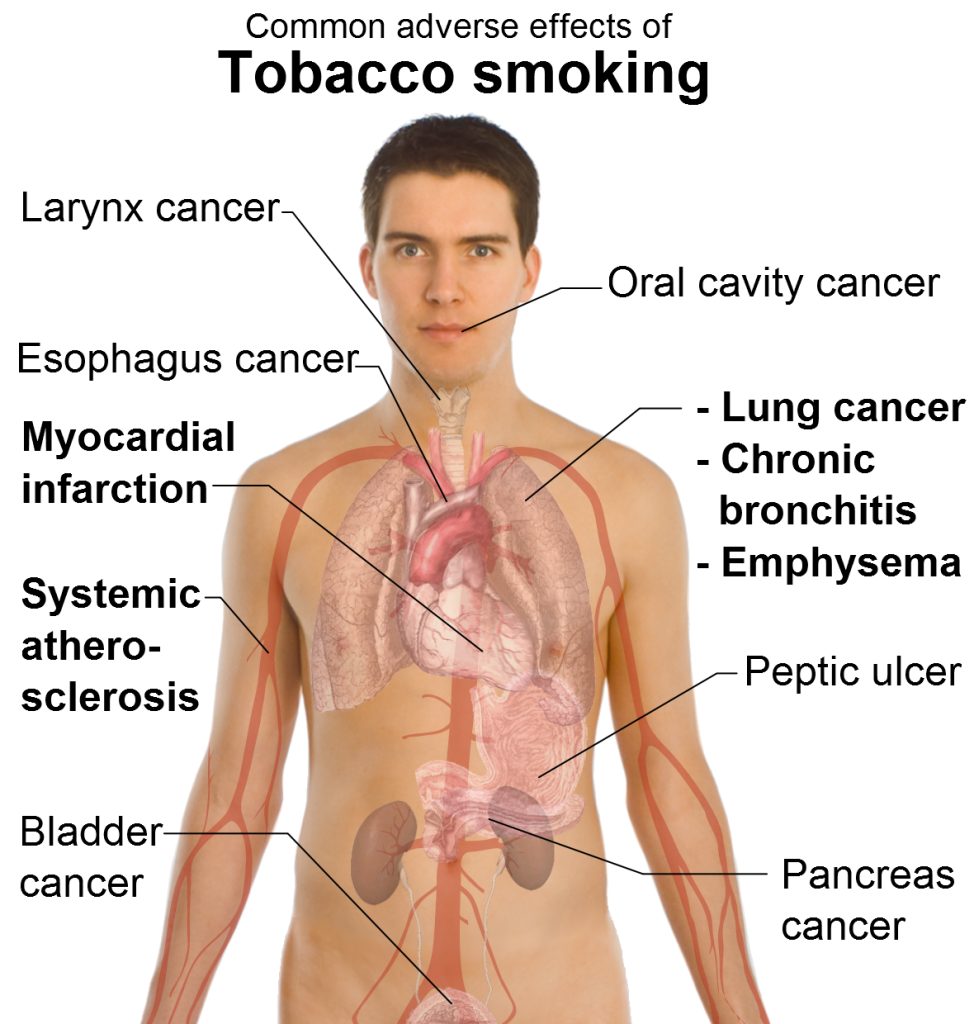 smoking effects