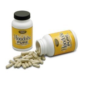 Hoodia Pills