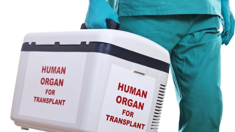 Organ Transplant