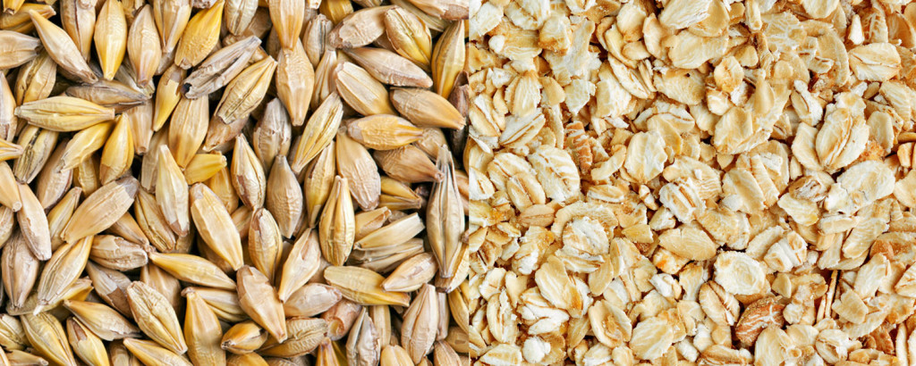 Oats or Barley