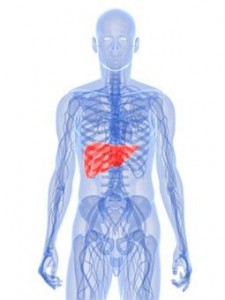 Liver Pain Location Causes symptoms