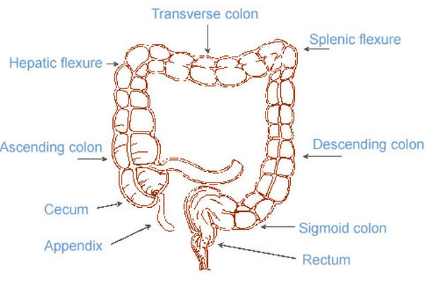 Splenic Flexure Syndrome