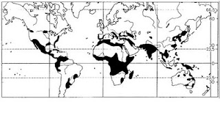 High Risk Locations for Amoebic Dysentery