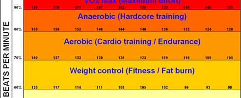 Fat Burning Zone