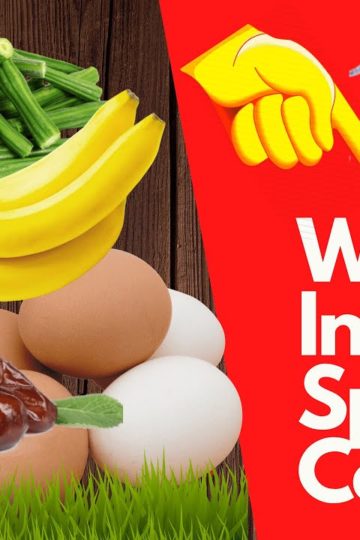 Foods To Increase Sperm Count