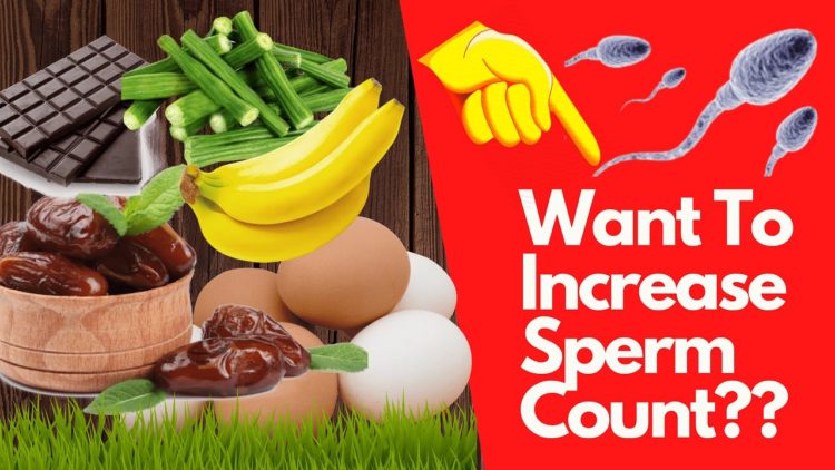 Foods To Increase Sperm Count