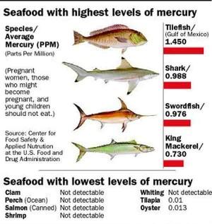 Mercury containing foods