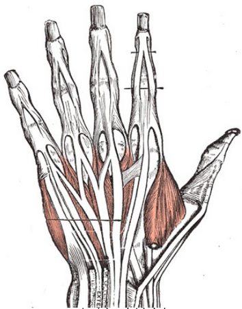 Carpal Tunnel Syndrome