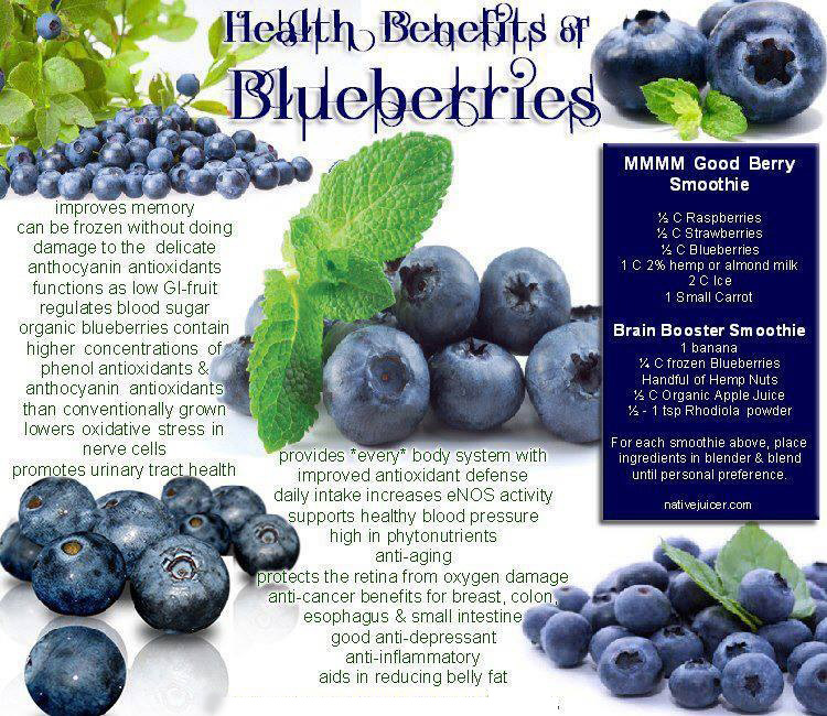 blueberry benefits