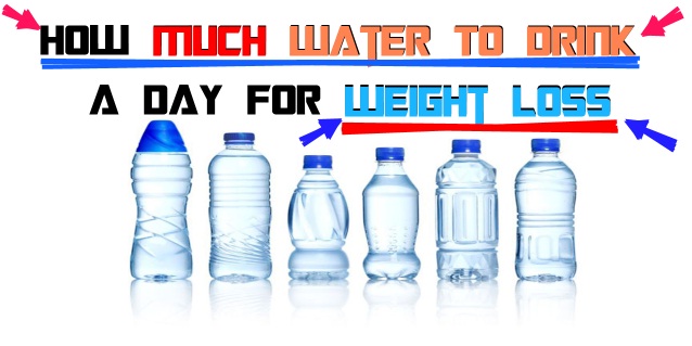 How Much Water Should You Drink A Day To Lose Weight