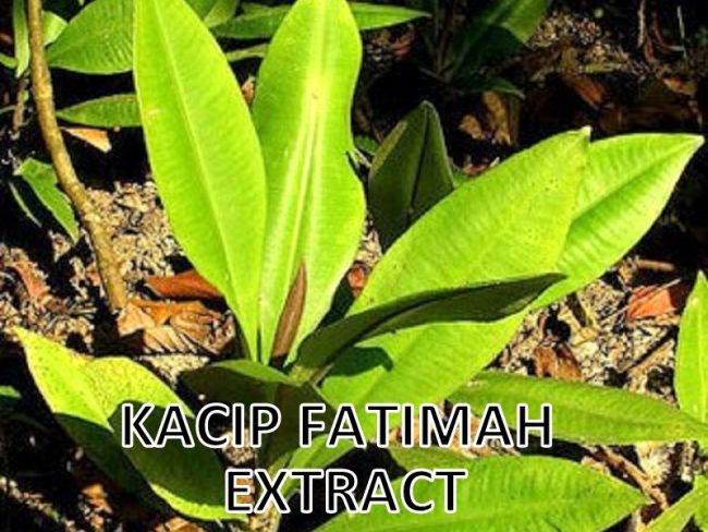 Kacip Fatimah