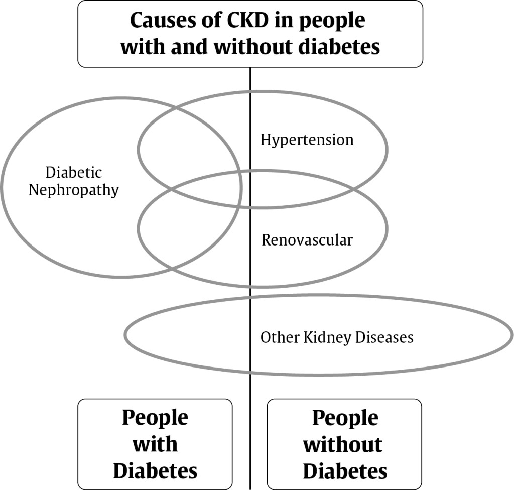  causing chronic kidney disorder