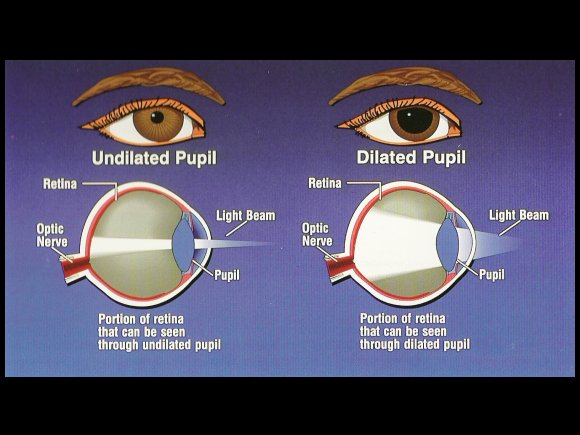 Pupil Response to Light