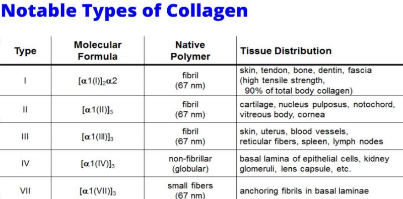 Types of Collagen Injectables