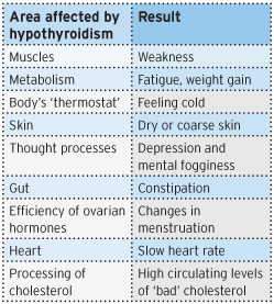 Low Thyroid Hormone Effects