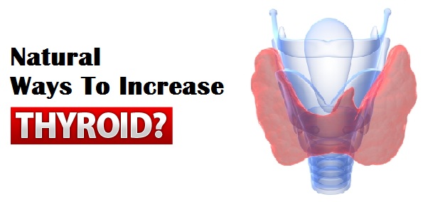 Natural Ways To Increase Thyroid Levels