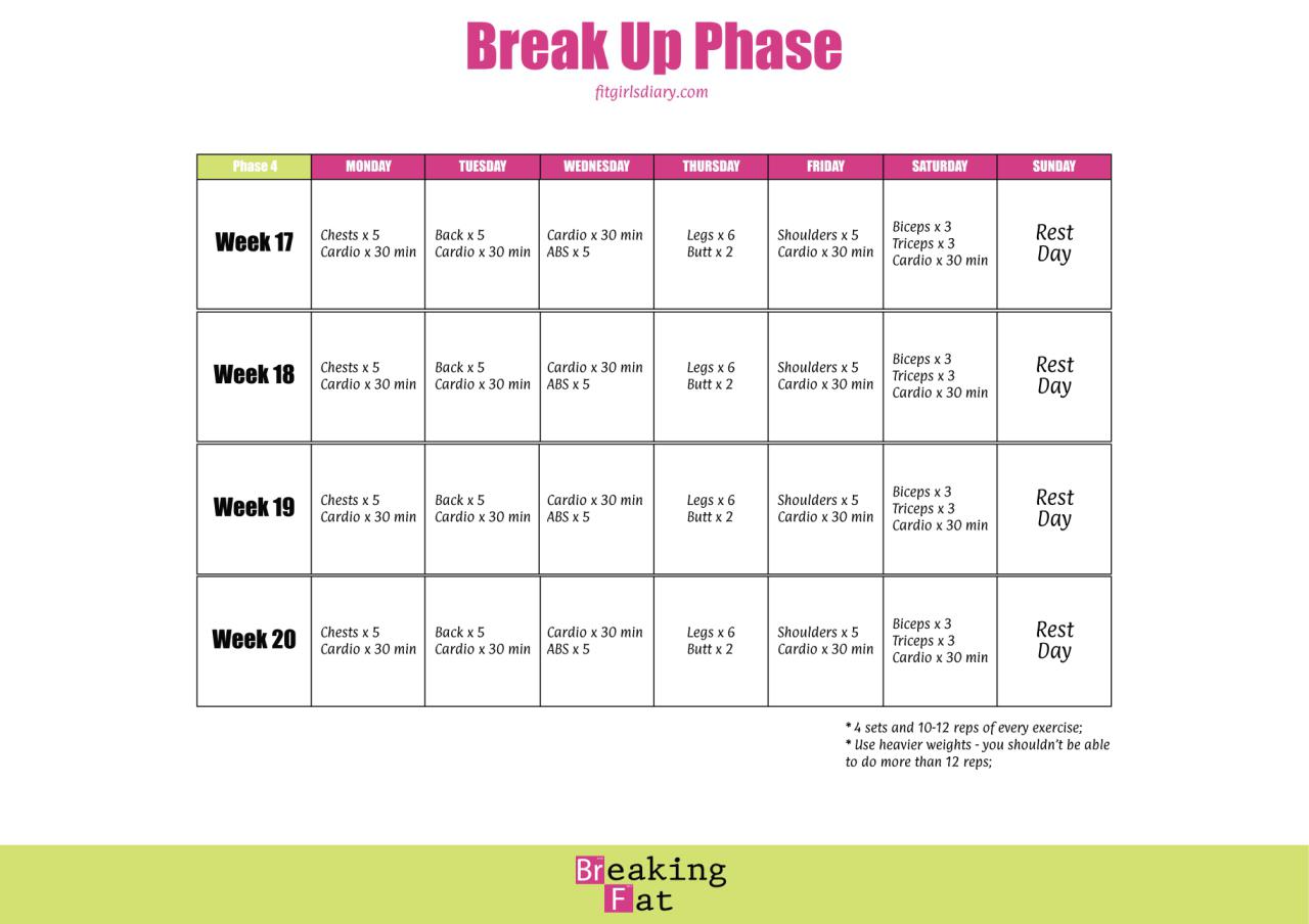 Breaking Fat Formula - BREAK UP PHASE - Fit Girl's Diary