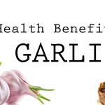 Health Benefits of Garlic