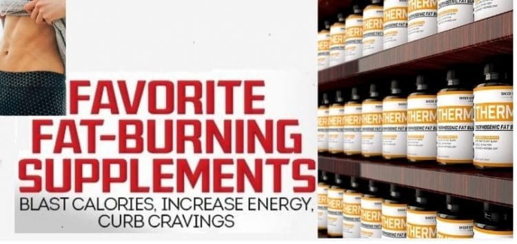 Sheer Thermo Review Best Fat Burner of 2021