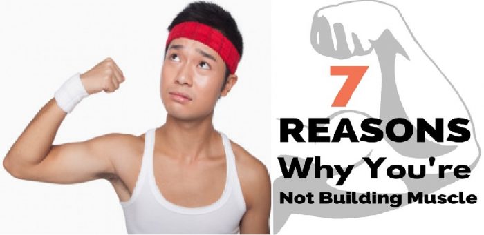 7 Reasons You are Not Building Muscle