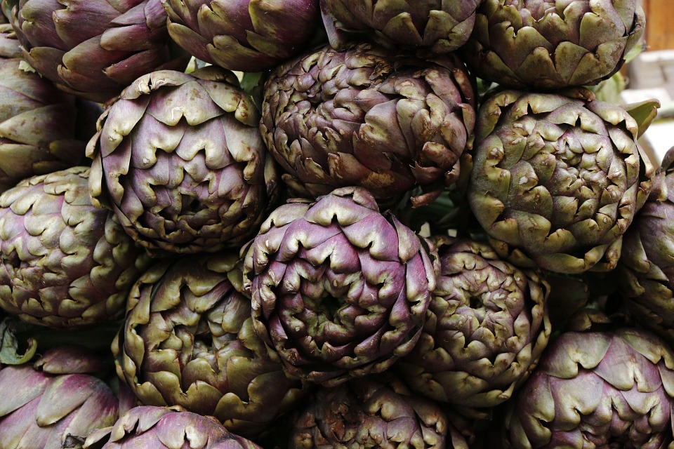 artichoke Aids Digestion