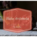 globe-artichoke-and-its-benfits