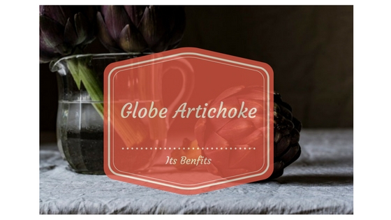 globe-artichoke-and-its-benfits