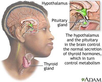 What are the symptoms of pituitary gland cysts?