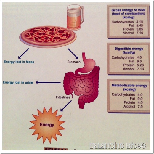 how calories work