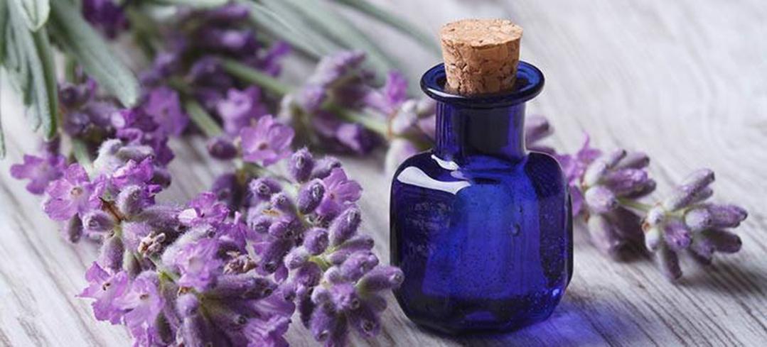 Best Essential oils and how to include them in your daily skin and hair care