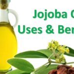 Jojoba Oil after Shampooing