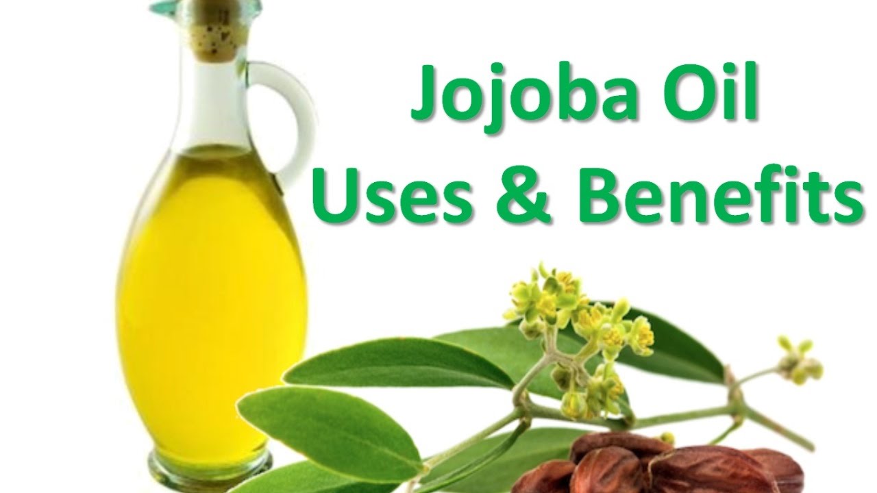 Jojoba Oil after Shampooing