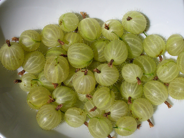 Gooseberry