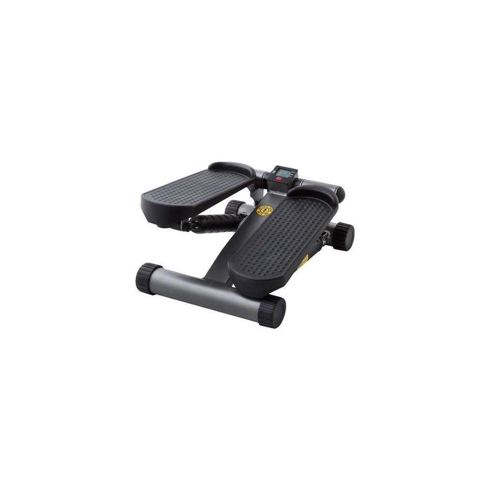 Gold’s Gym Mini Stepper