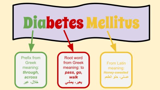 Diabetes_Mellitus.
