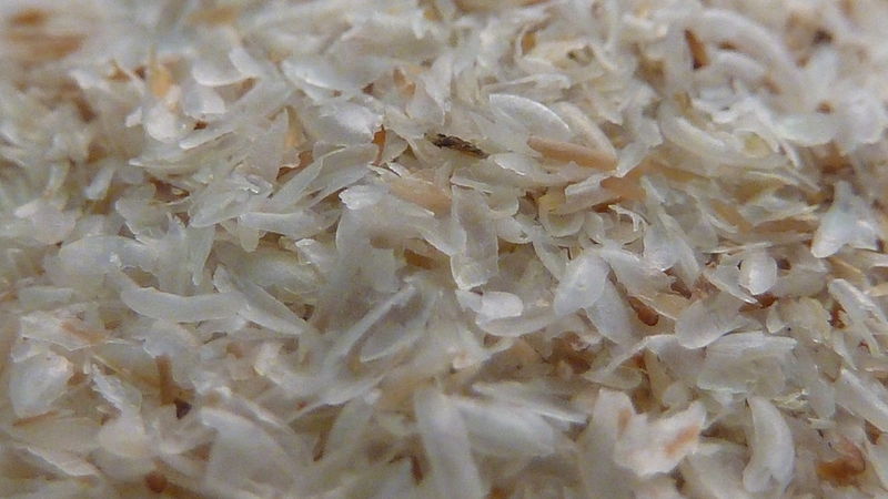 Psyllium