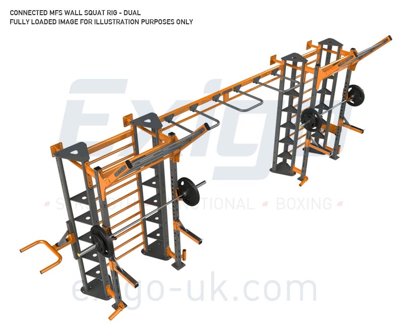 Exigo wall mounted squat ring