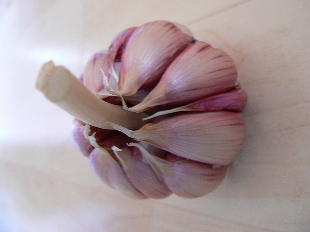 Garlic