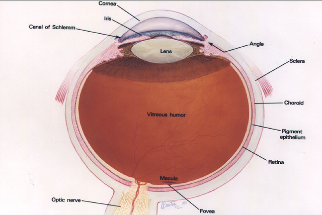 Scleritis