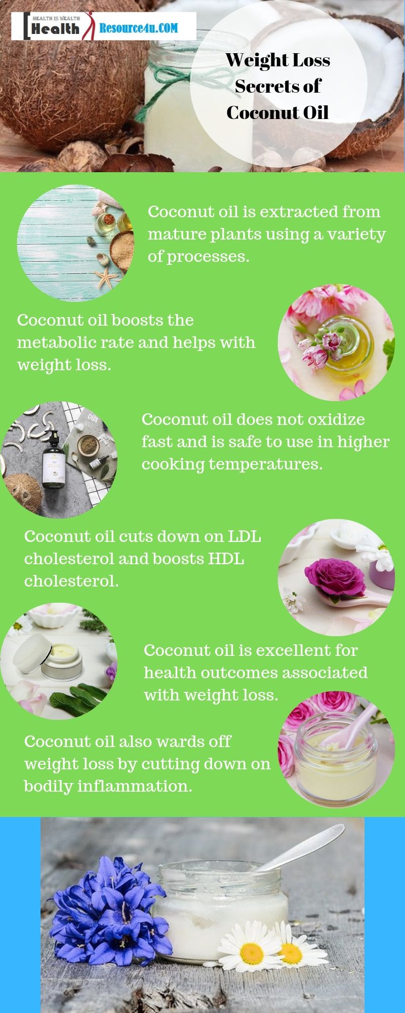 Infographic Coconut oil weight loss
