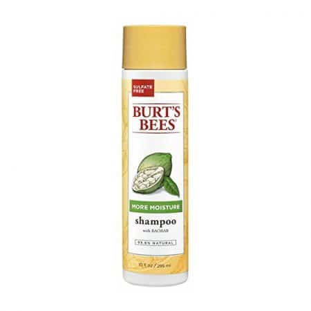 Burts Bees More Moisture Shampoo