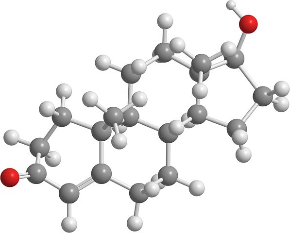 testosterone 2901425 480