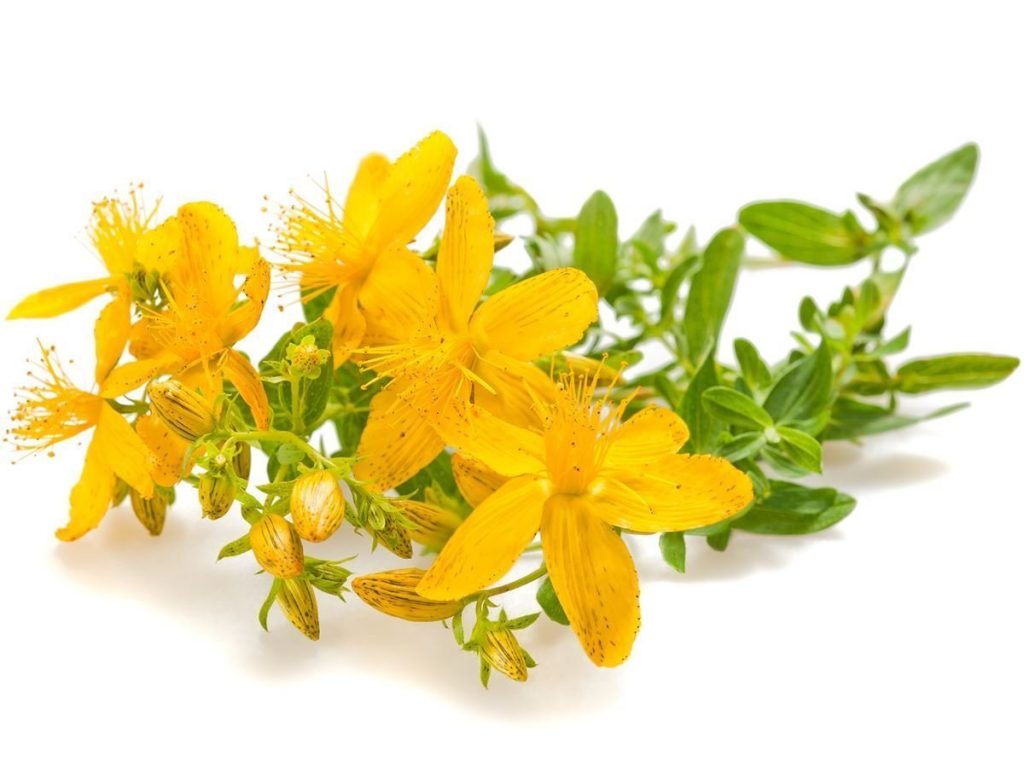 St John’s Wort