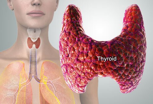 Thyroid Problems