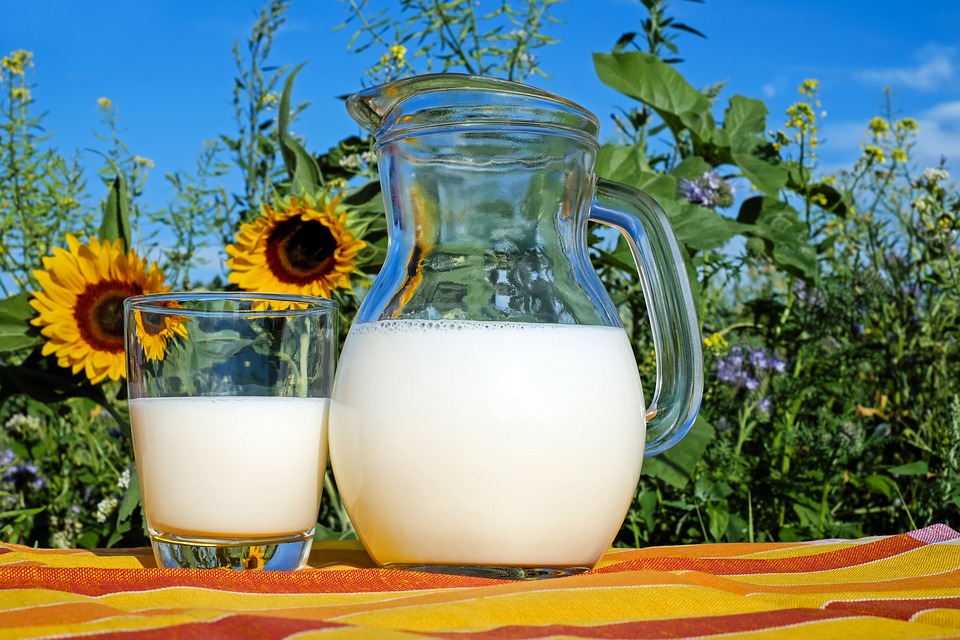 A glass of warm milk